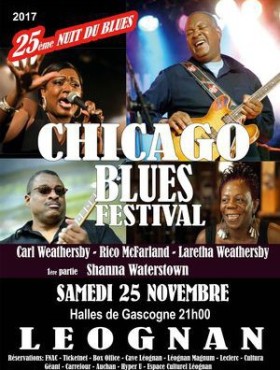 Affiche Nuit Du Blues Festival 2017