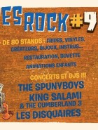 Puces Rock N°9 à Montpellier