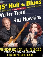 Nuit Du Blues De Carpentras 