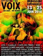 Festival De La Voix De Moissac