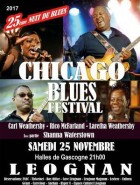 Nuit Du Blues Festival