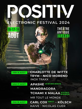 Affiche Positiv Festival 2023