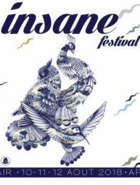 Affiche Insane Festival  2018