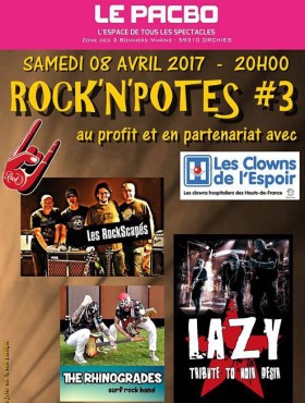 Affiche Rock'n'potes 2017