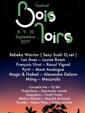 Affiche Les Bois noirs 2017