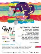 Awake festival
