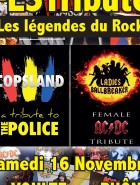 FESTribute