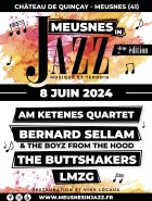 Festival Meusnes In Jazz