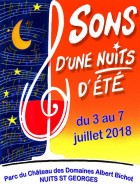 Festival Sons D'une Nuits D'été