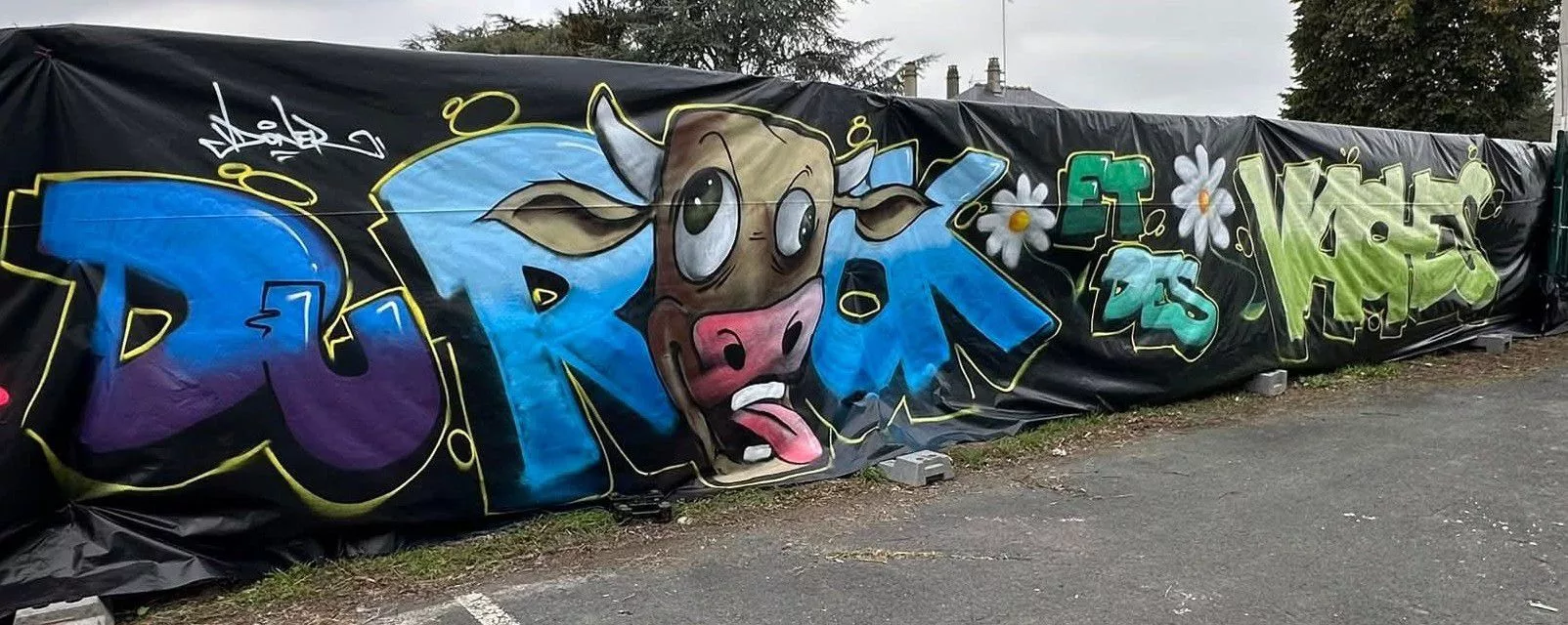 Affiche de Du Rock et Des Vaches