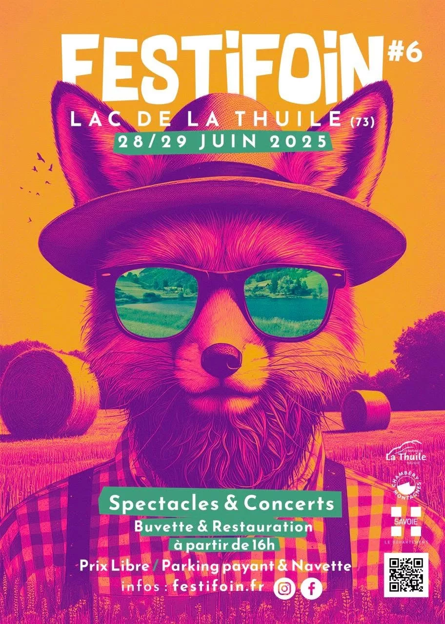 Affiche de Festifoin