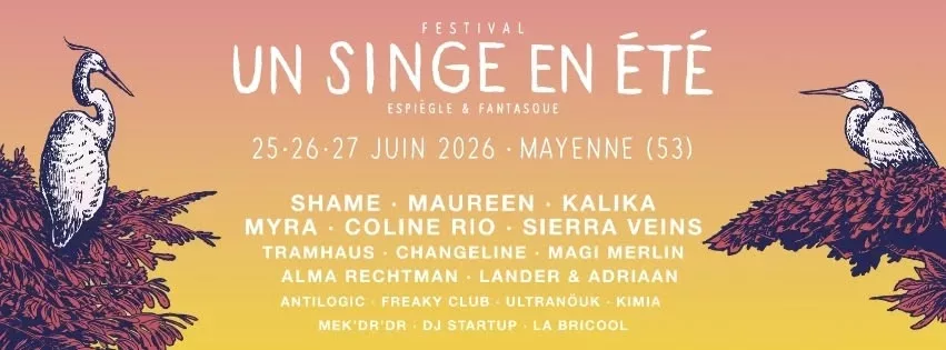 Affiche de Un Singe en Été